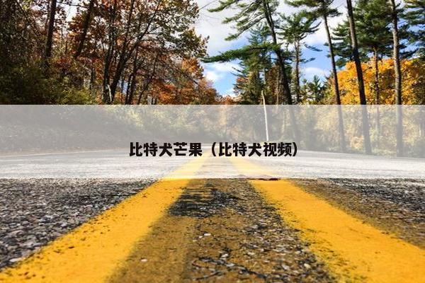 比特犬芒果（比特犬视频）