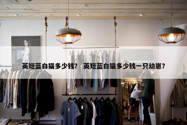 英短蓝白猫多少钱？ 英短蓝白猫多少钱一只幼崽？