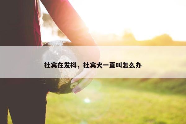 杜宾在发抖，杜宾犬一直叫怎么办
