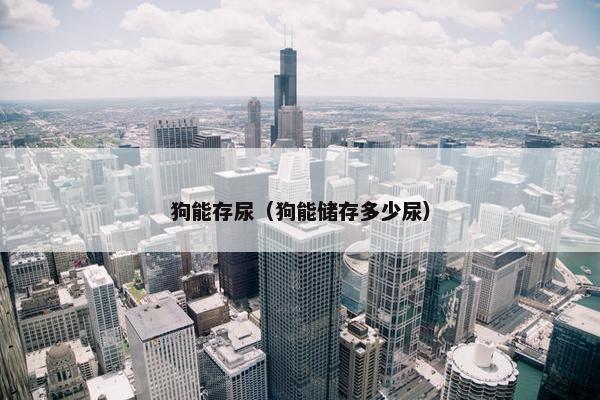 狗能存尿（狗能储存多少尿）