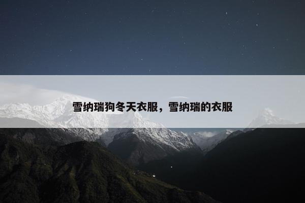雪纳瑞狗冬天衣服，雪纳瑞的衣服