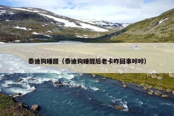 泰迪狗睡醒（泰迪狗睡醒后老卡咋回事咔咔）