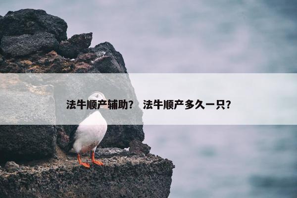 法牛顺产辅助？ 法牛顺产多久一只？