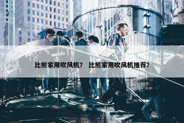 比熊家用吹风机？ 比熊家用吹风机推荐？