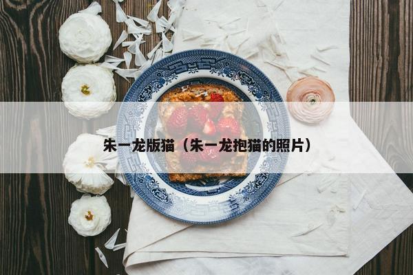 朱一龙版猫（朱一龙抱猫的照片）