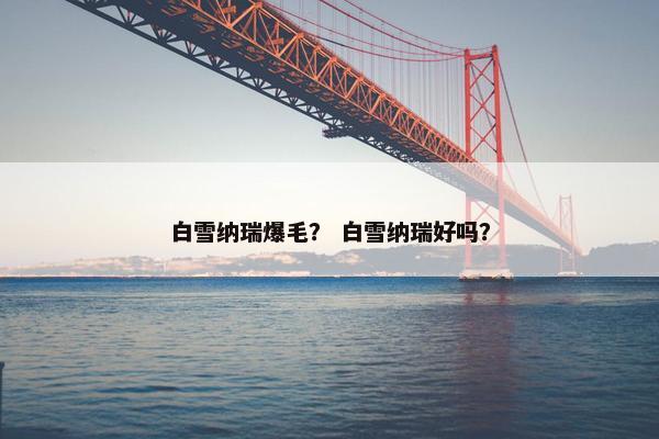 白雪纳瑞爆毛？ 白雪纳瑞好吗？