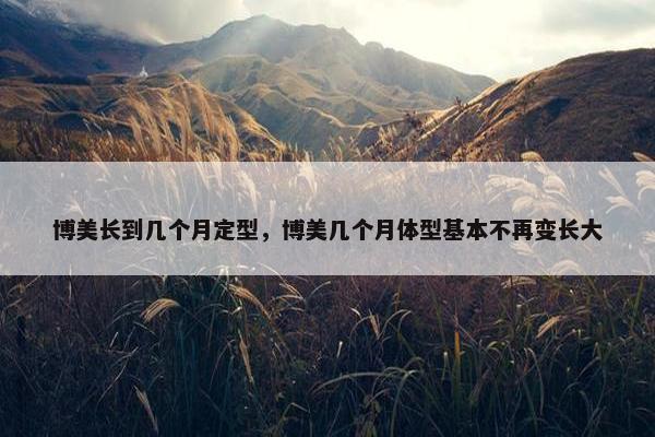 博美长到几个月定型，博美几个月体型基本不再变长大