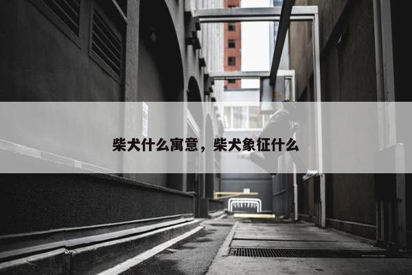 柴犬什么寓意，柴犬象征什么