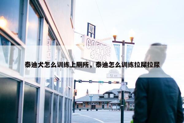 泰迪犬怎么训练上厕所，泰迪怎么训练拉屎拉尿