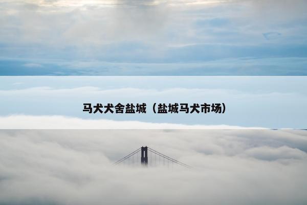 马犬犬舍盐城（盐城马犬市场）