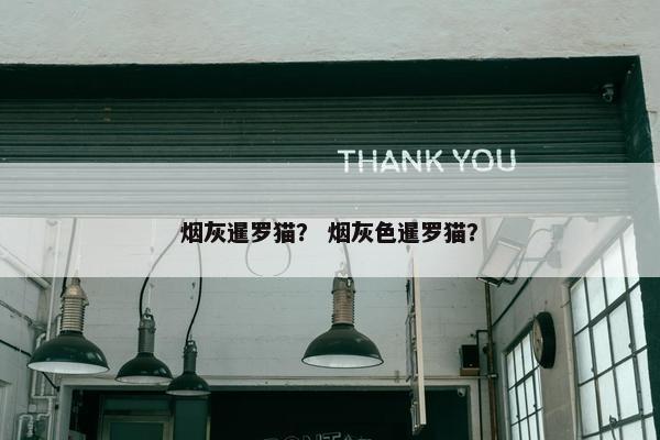烟灰暹罗猫？ 烟灰色暹罗猫？