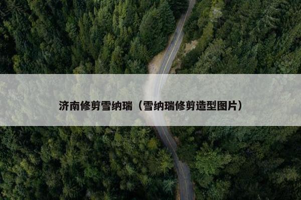济南修剪雪纳瑞（雪纳瑞修剪造型图片）