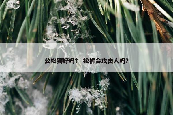 公松狮好吗？ 松狮会攻击人吗？