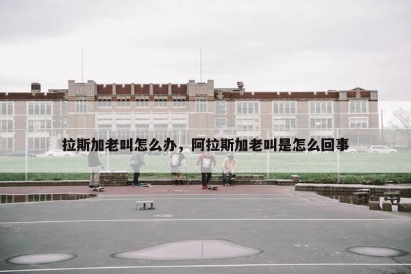 拉斯加老叫怎么办，阿拉斯加老叫是怎么回事