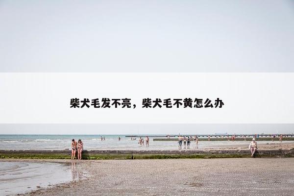 柴犬毛发不亮，柴犬毛不黄怎么办