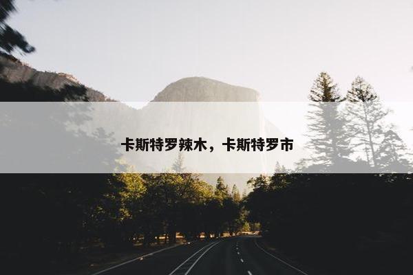 卡斯特罗辣木，卡斯特罗市