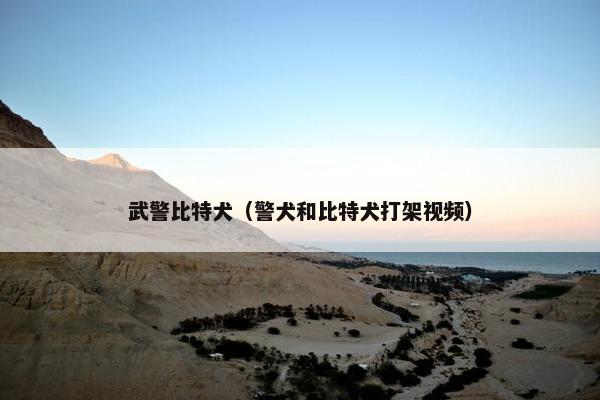 武警比特犬（警犬和比特犬打架视频）