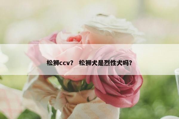 松狮ccv？ 松狮犬是烈性犬吗？