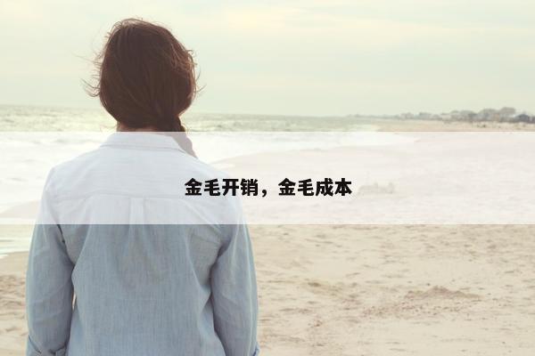 金毛开销，金毛成本
