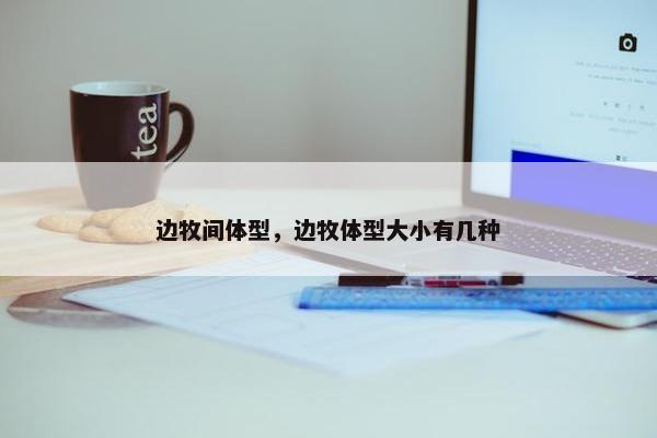 边牧间体型，边牧体型大小有几种