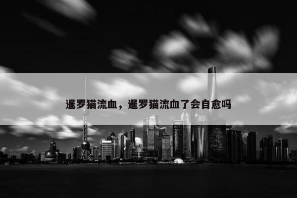 暹罗猫流血，暹罗猫流血了会自愈吗