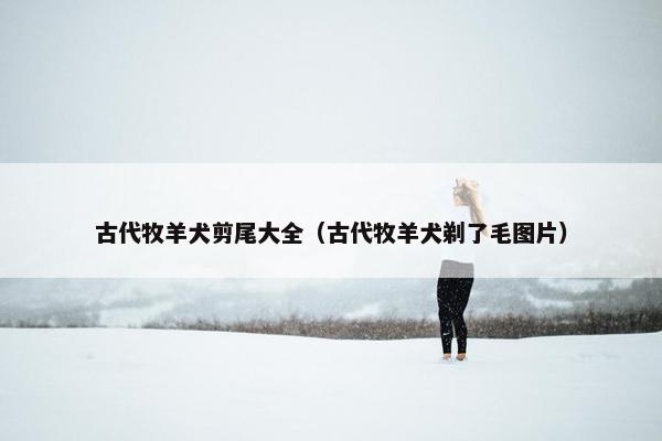 古代牧羊犬剪尾大全（古代牧羊犬剃了毛图片）