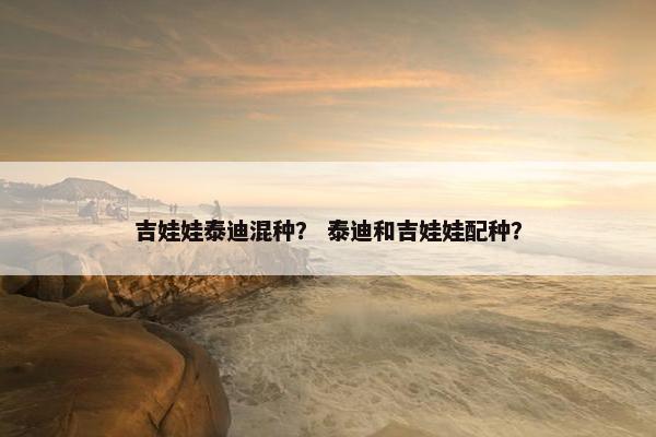 吉娃娃泰迪混种？ 泰迪和吉娃娃配种？