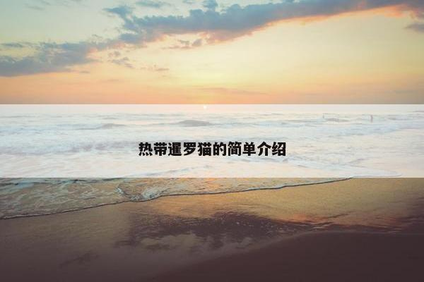 热带暹罗猫的简单介绍