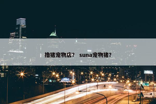 撸猪宠物店？ suna宠物猪？