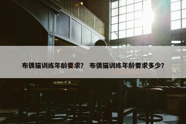 布偶猫训练年龄要求？ 布偶猫训练年龄要求多少？