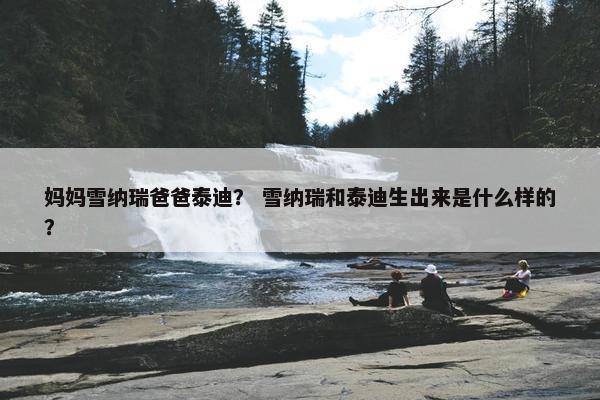 妈妈雪纳瑞爸爸泰迪？ 雪纳瑞和泰迪生出来是什么样的？