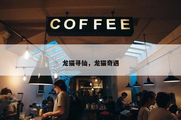 龙猫寻仙，龙猫奇遇