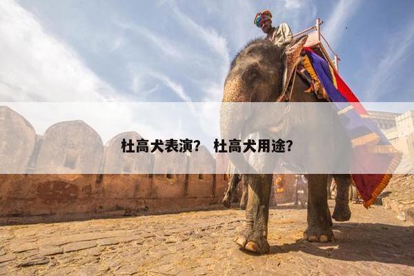 杜高犬表演？ 杜高犬用途？