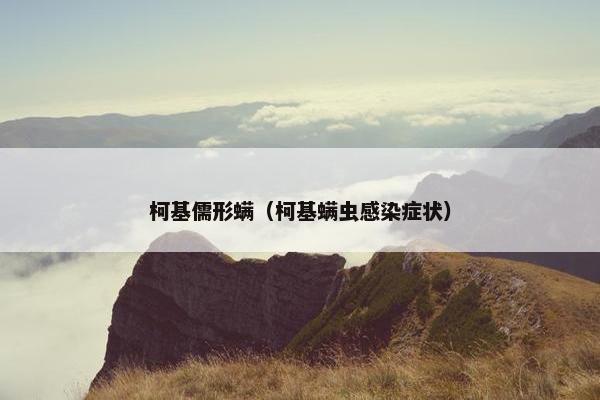 柯基儒形螨（柯基螨虫感染症状）