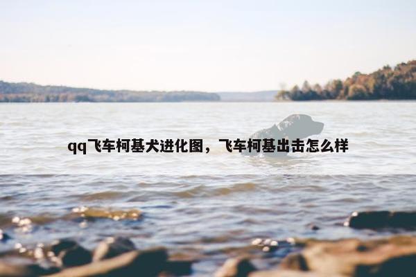 qq飞车柯基犬进化图，飞车柯基出击怎么样
