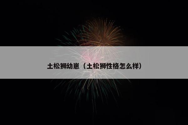 土松狮幼崽（土松狮性格怎么样）