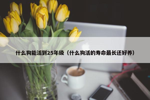 什么狗能活到25年级（什么狗活的寿命最长还好养）