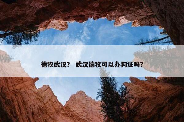 德牧武汉？ 武汉德牧可以办狗证吗？