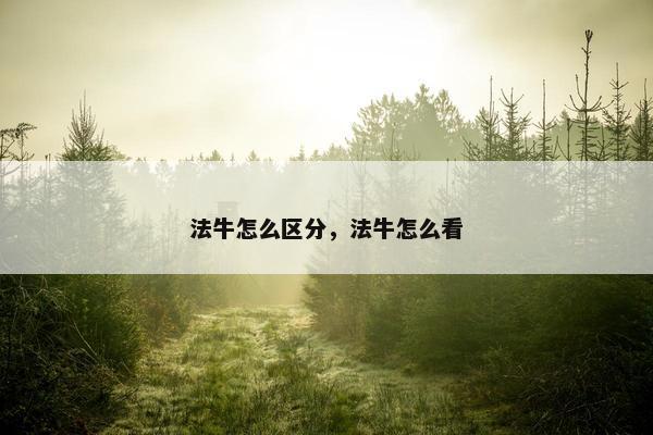 法牛怎么区分，法牛怎么看