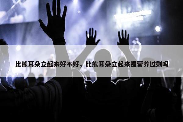 比熊耳朵立起来好不好，比熊耳朵立起来是营养过剩吗