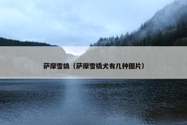 萨摩雪撬（萨摩雪橇犬有几种图片）