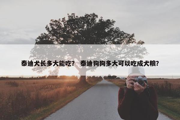 泰迪犬长多大能吃？ 泰迪狗狗多大可以吃成犬粮？