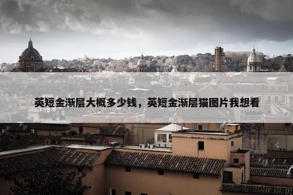 英短金渐层大概多少钱，英短金渐层猫图片我想看