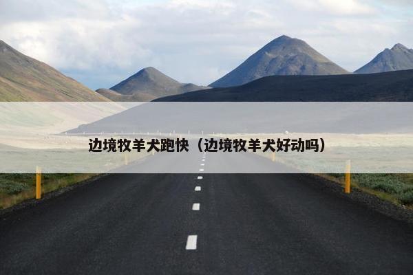 边境牧羊犬跑快（边境牧羊犬好动吗）
