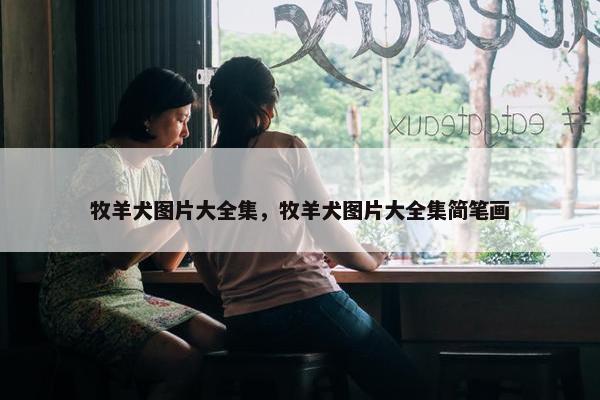牧羊犬图片大全集，牧羊犬图片大全集简笔画