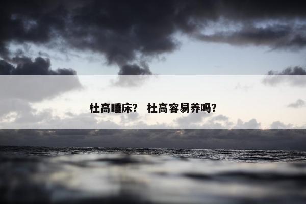 杜高睡床？ 杜高容易养吗？