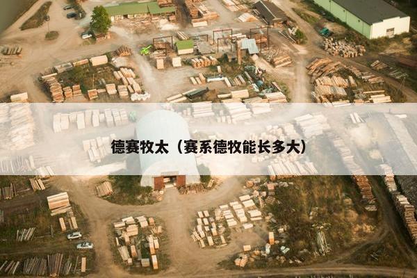 德赛牧太（赛系德牧能长多大）