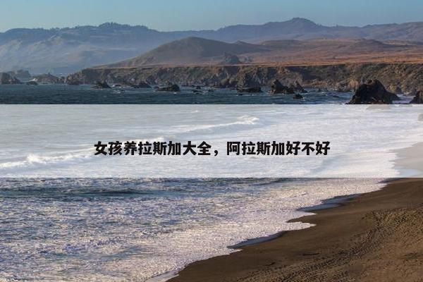 女孩养拉斯加大全，阿拉斯加好不好