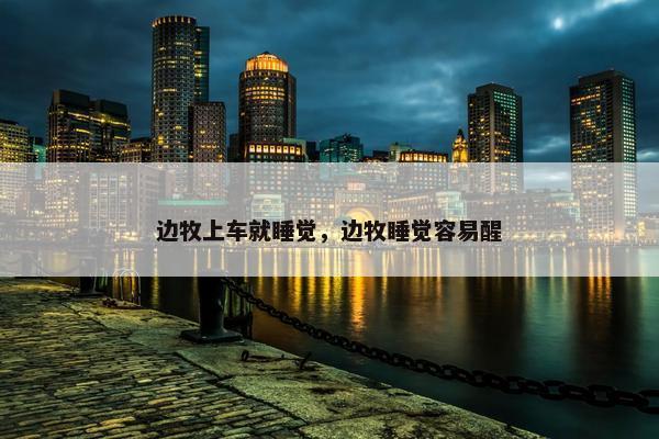 边牧上车就睡觉，边牧睡觉容易醒