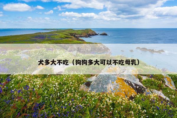 犬多大不吃（狗狗多大可以不吃母乳）